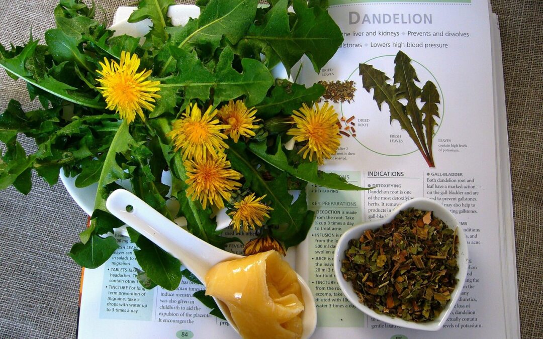 herbal remedies: functional medicine for kids daphne al, acupuncture for kids daphne al