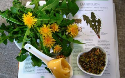 Acupuncture & Functional Medicine in Daphne: How it Helps Kids
